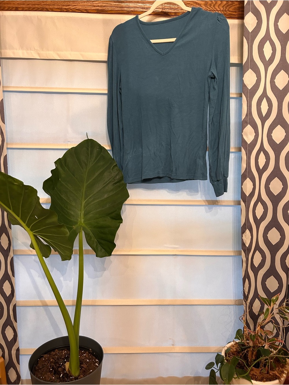 Teal V-Neck Long Sleeve Top